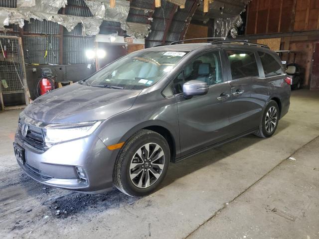 HONDA ODYSSEY EX 2023 5fnrl6h66pb077364