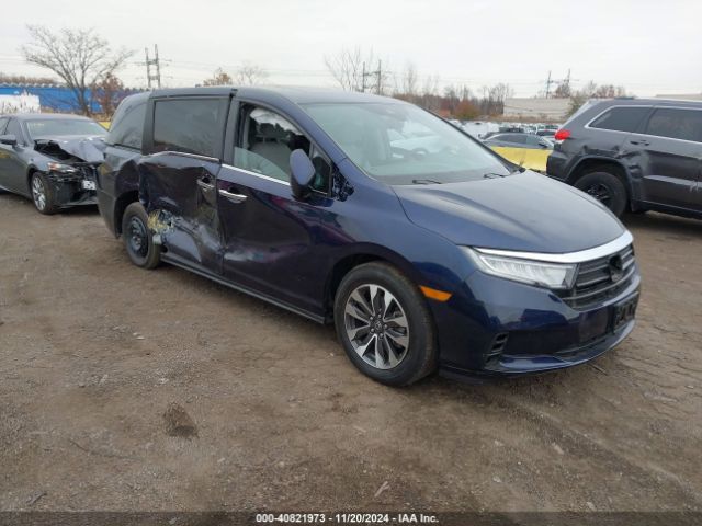 HONDA ODYSSEY 2023 5fnrl6h67pb041134