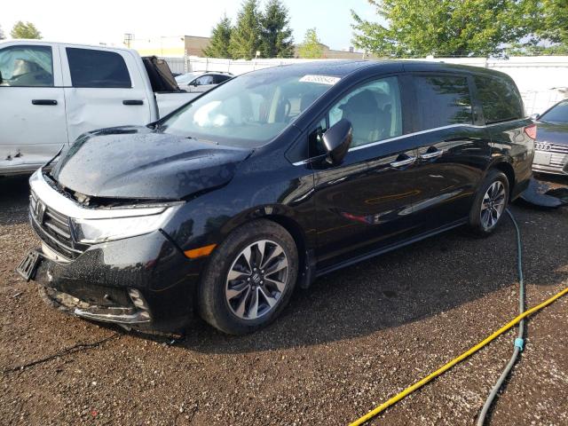 HONDA ODYSSEY EX 2022 5fnrl6h68nb501396