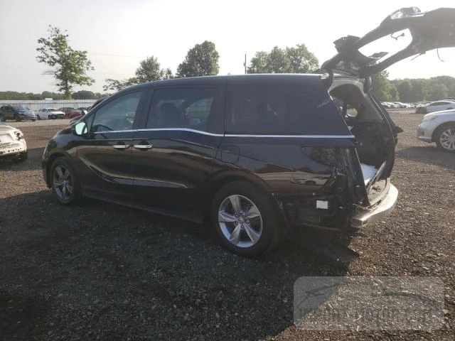 HONDA ODYSSEY 2023 5fnrl6h68pb015996