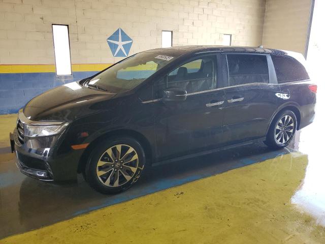 HONDA ODYSSEY EX 2024 5fnrl6h69rb055510