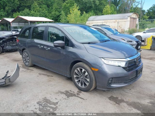 HONDA ODYSSEY 2023 5fnrl6h6xpb032086