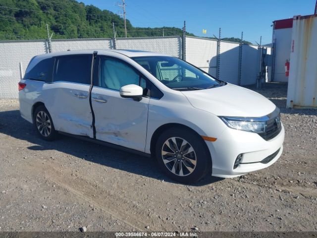 HONDA ODYSSEY 2023 5fnrl6h6xpb063158