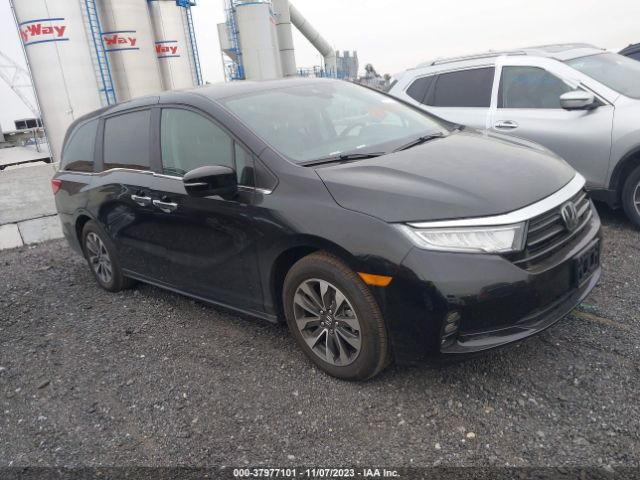 HONDA ODYSSEY 2023 5fnrl6h6xpb080302