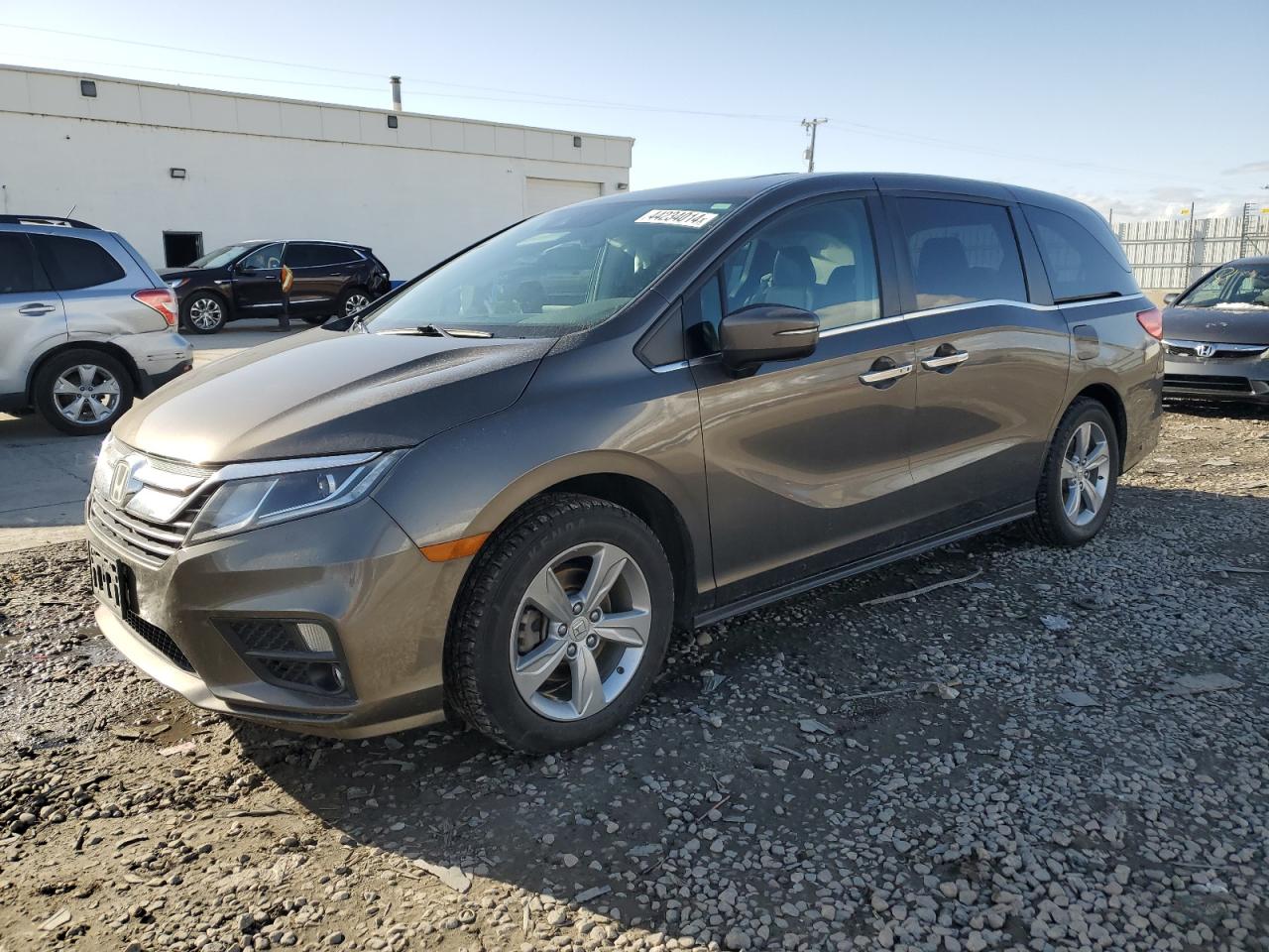 HONDA ODYSSEY 2018 5fnrl6h70jb074492