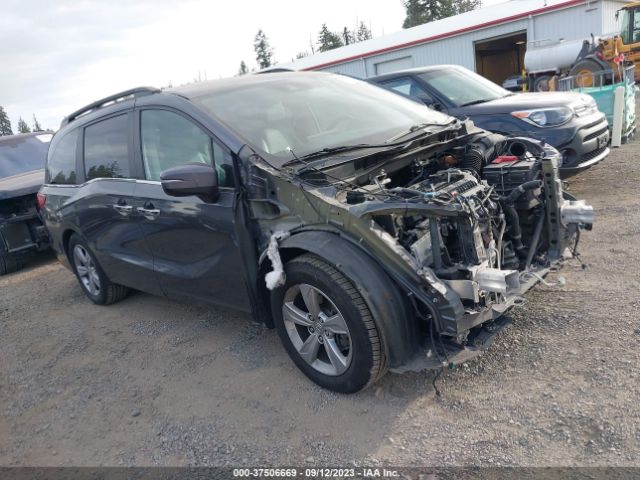 HONDA ODYSSEY 2018 5fnrl6h70jb098890