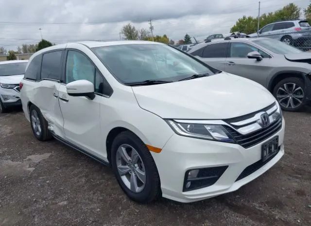 HONDA ODYSSEY 2019 5fnrl6h70kb042157