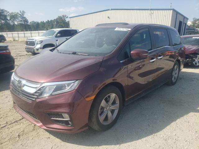 HONDA ODYSSEY EX 2019 5fnrl6h70kb050601