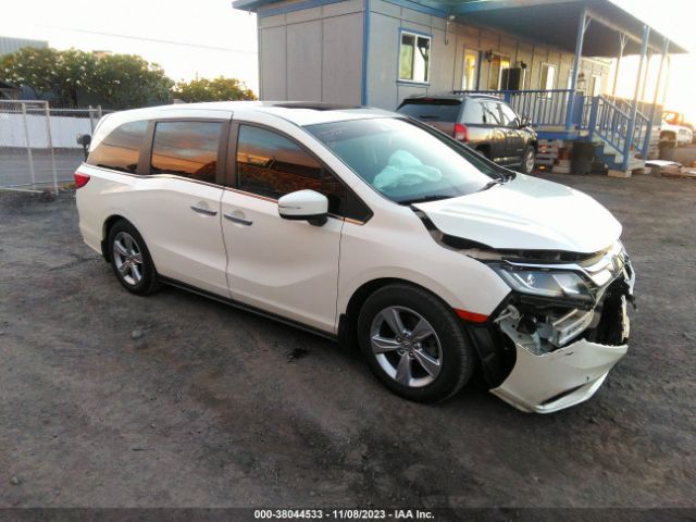 HONDA ODYSSEY 2019 5fnrl6h70kb067687