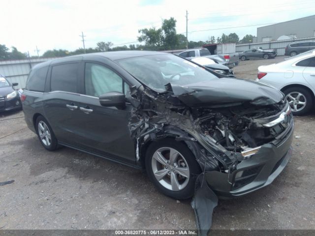 HONDA ODYSSEY 2019 5fnrl6h70kb072579