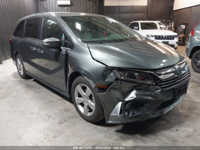 HONDA ODYSSEY 2019 5fnrl6h70kb076213