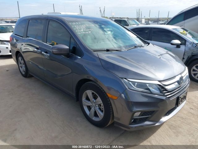 HONDA ODYSSEY 2019 5fnrl6h70kb088362