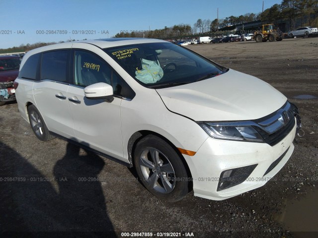 HONDA ODYSSEY 2019 5fnrl6h70kb118850