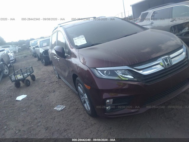 HONDA ODYSSEY 2019 5fnrl6h70kb129508