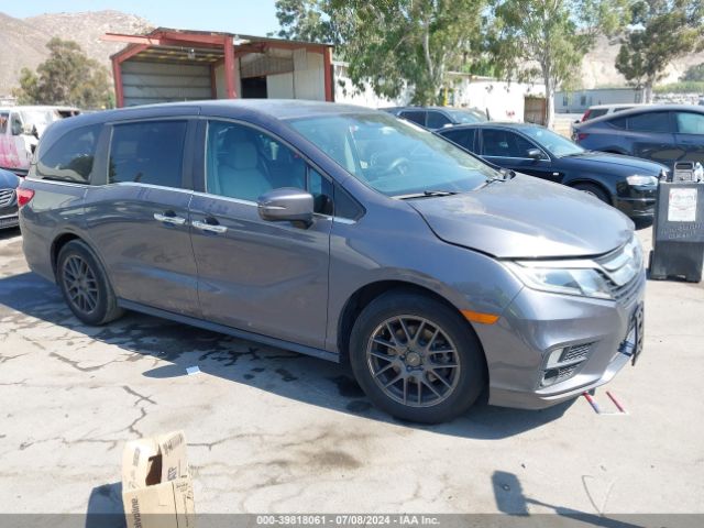 HONDA ODYSSEY 2019 5fnrl6h70kb136250