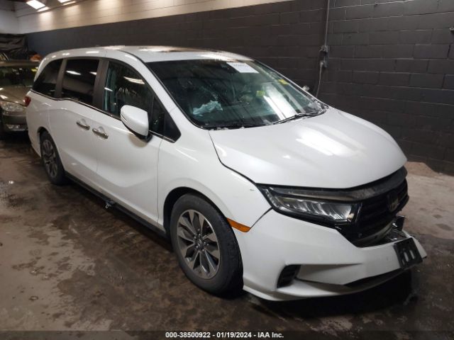 HONDA ODYSSEY 2022 5fnrl6h70nb028165