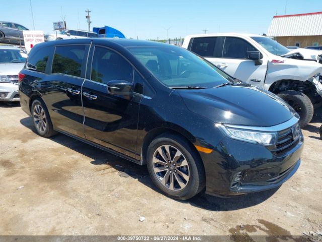 HONDA ODYSSEY 2022 5fnrl6h70nb045449