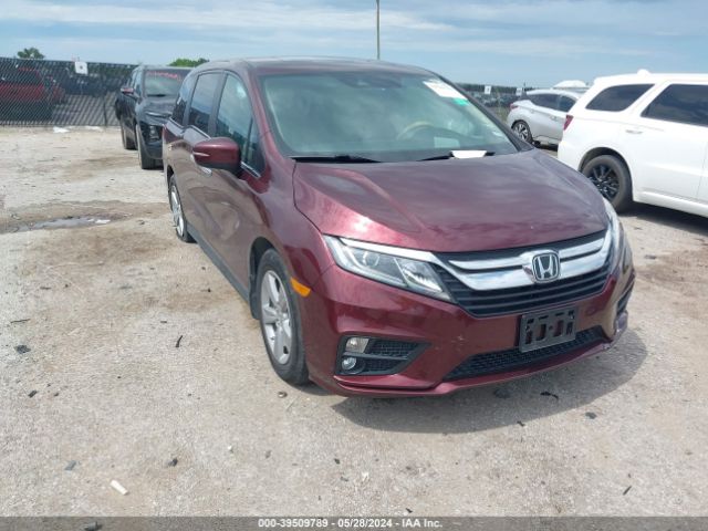 HONDA ODYSSEY 2018 5fnrl6h71jb028797