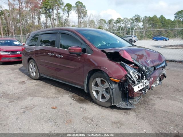 HONDA ODYSSEY 2019 5fnrl6h71kb021270