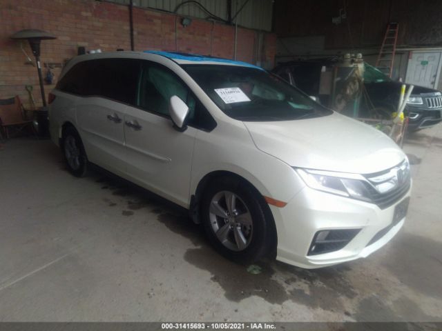 HONDA ODYSSEY 2019 5fnrl6h71kb023987