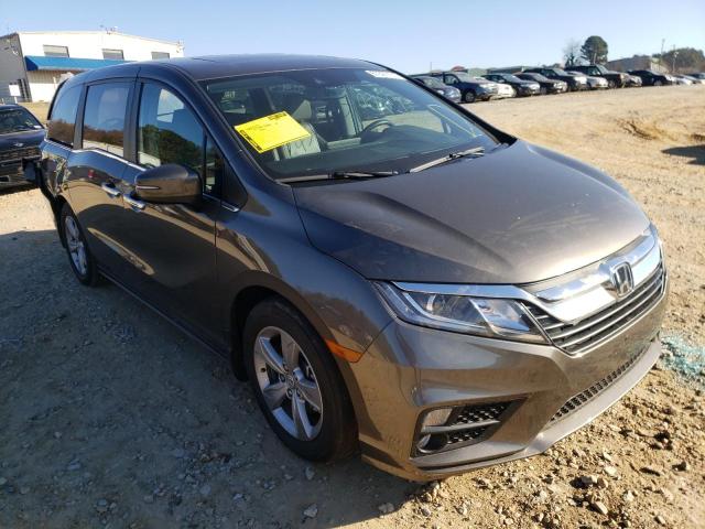 HONDA ODYSSEY EX 2019 5fnrl6h71kb031300