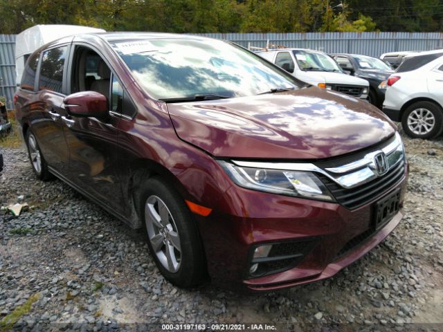 HONDA ODYSSEY 2019 5fnrl6h71kb058285