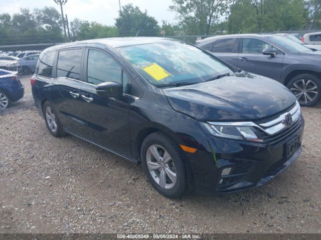 HONDA ODYSSEY 2019 5fnrl6h71kb061543