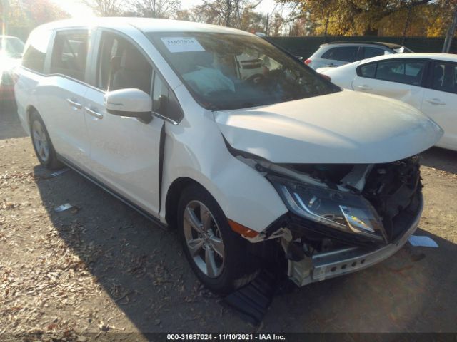 HONDA ODYSSEY 2019 5fnrl6h71kb062661