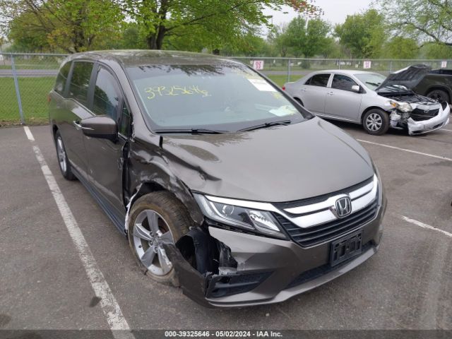 HONDA ODYSSEY 2019 5fnrl6h71kb066595