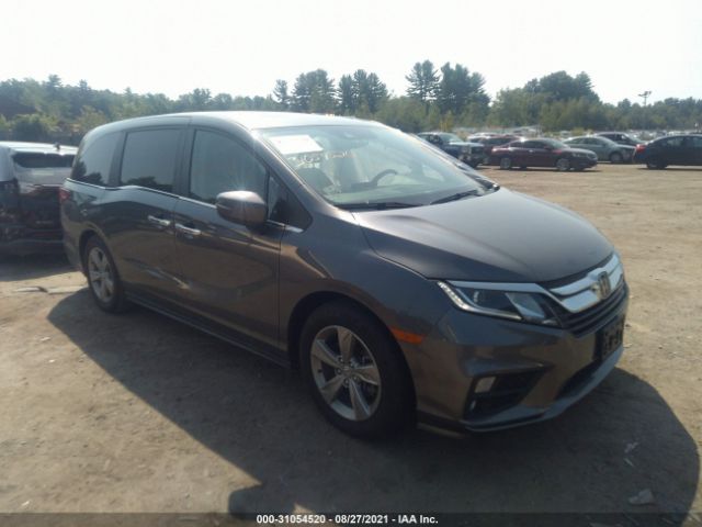 HONDA ODYSSEY 2019 5fnrl6h71kb067455