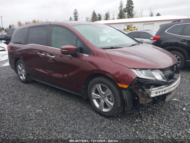 HONDA ODYSSEY 2019 5fnrl6h71kb075233