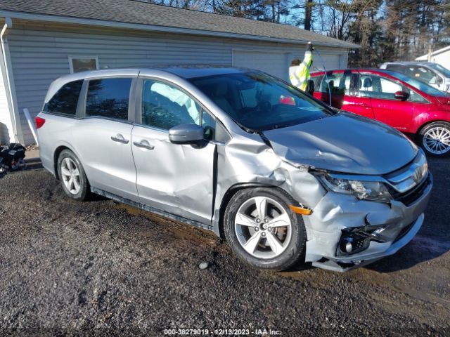 HONDA ODYSSEY 2019 5fnrl6h71kb077130