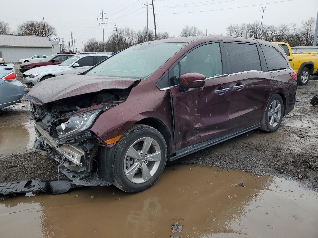 HONDA ODYSSEY 2019 5fnrl6h71kb084482