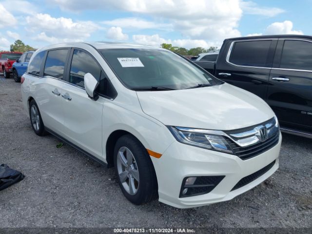 HONDA ODYSSEY 2019 5fnrl6h71kb086071