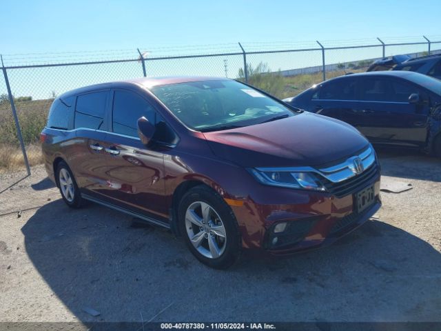 HONDA ODYSSEY 2019 5fnrl6h71kb086202