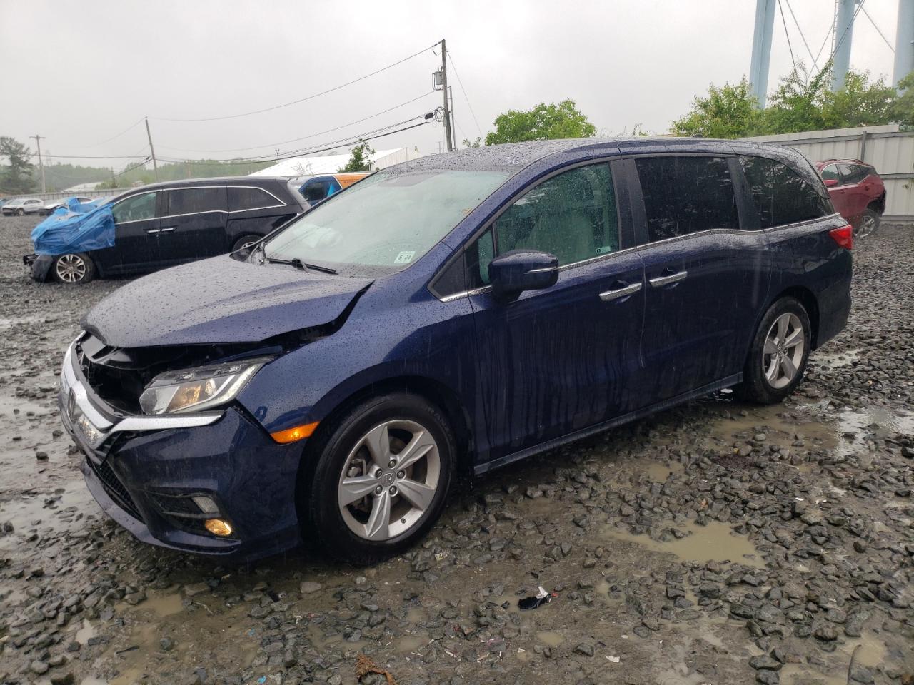 HONDA ODYSSEY 2019 5fnrl6h71kb100566