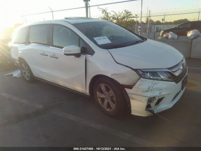 HONDA ODYSSEY 2019 5fnrl6h71kb109364