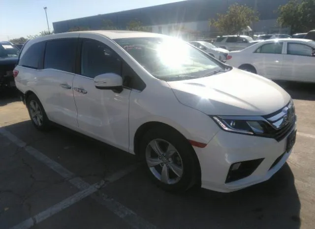 HONDA ODYSSEY 2019 5fnrl6h71kb115813