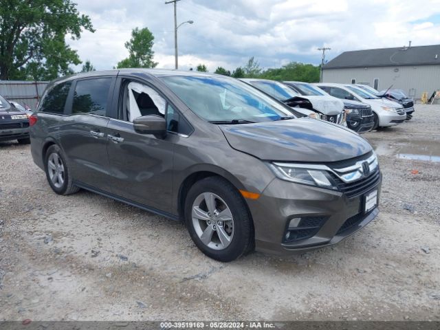 HONDA ODYSSEY 2019 5fnrl6h71kb123474