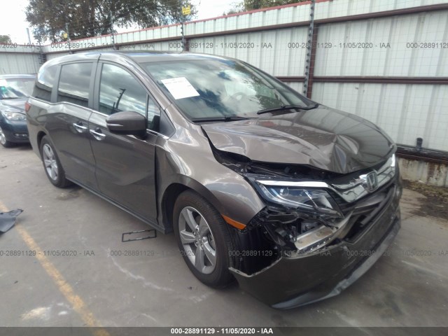 HONDA ODYSSEY 2019 5fnrl6h71kb131655