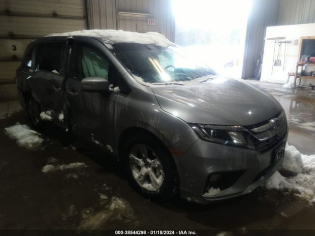 HONDA ODYSSEY 2020 5fnrl6h71lb008780