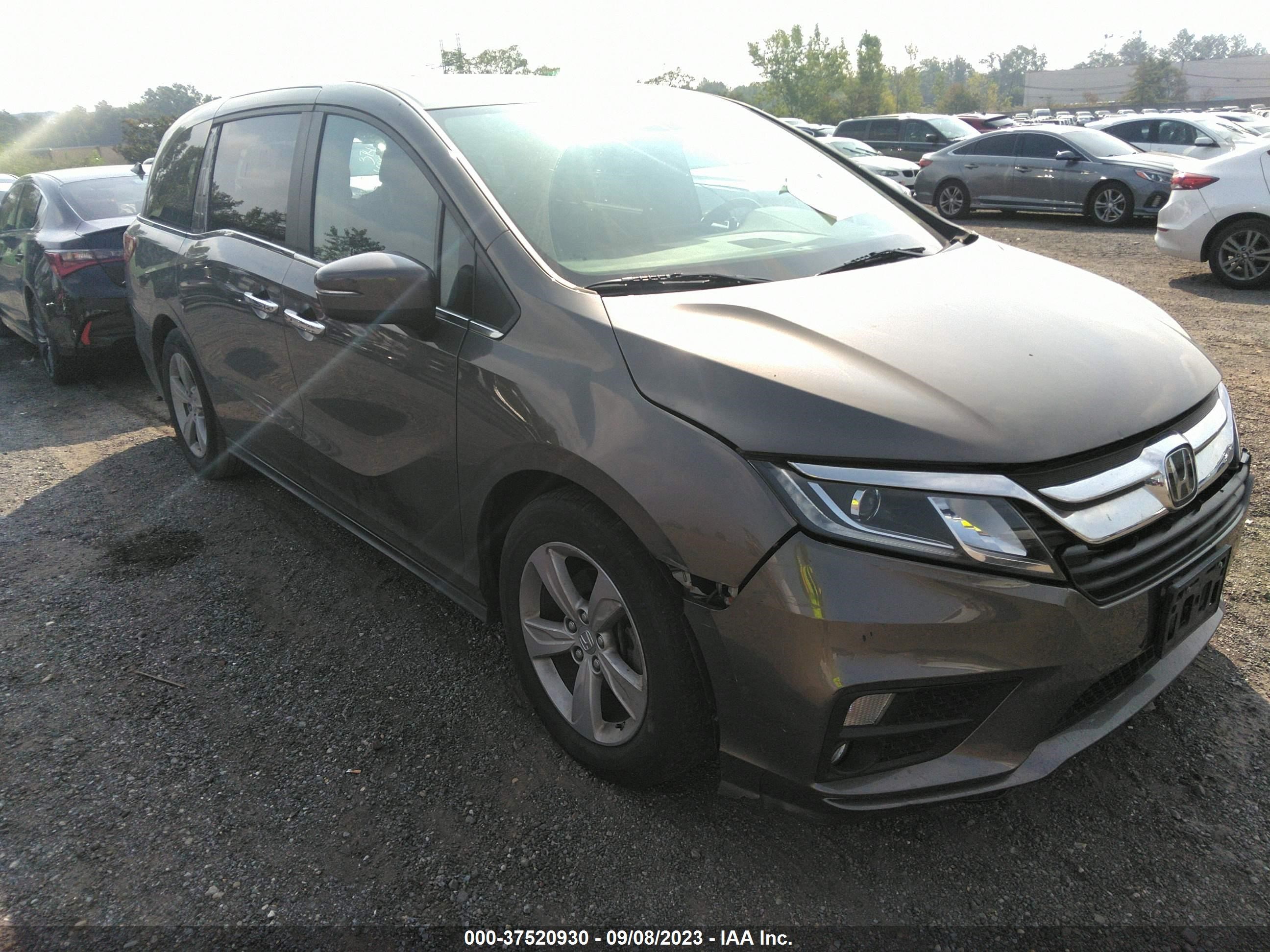 HONDA ODYSSEY 2020 5fnrl6h71lb058899