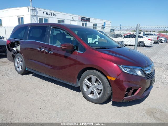 HONDA ODYSSEY 2020 5fnrl6h71lb064427