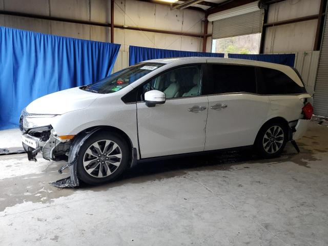 HONDA ODYSSEY EX 2021 5fnrl6h71mb024172