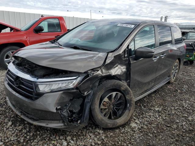 HONDA ODYSSEY EX 2021 5fnrl6h71mb030909