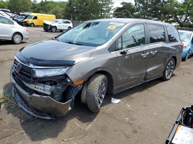 HONDA ODYSSEY EX 2021 5fnrl6h71mb033423