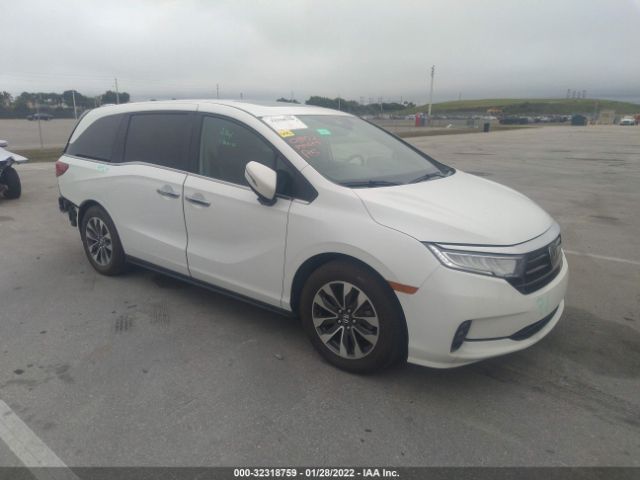 HONDA ODYSSEY 2022 5fnrl6h71nb028174