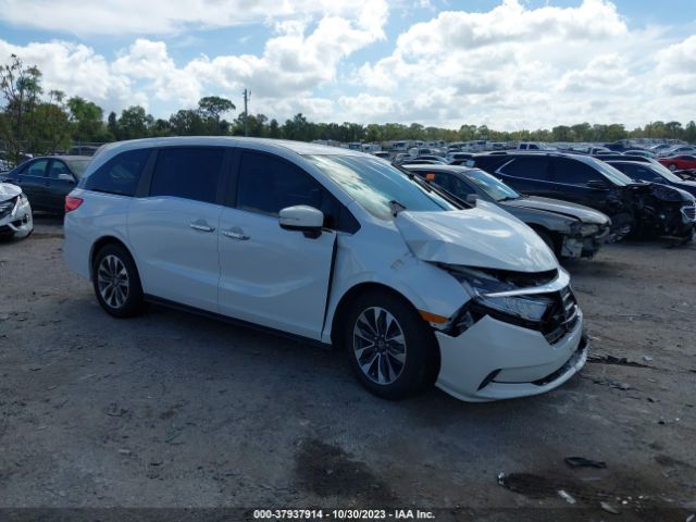 HONDA ODYSSEY 2022 5fnrl6h71nb032256