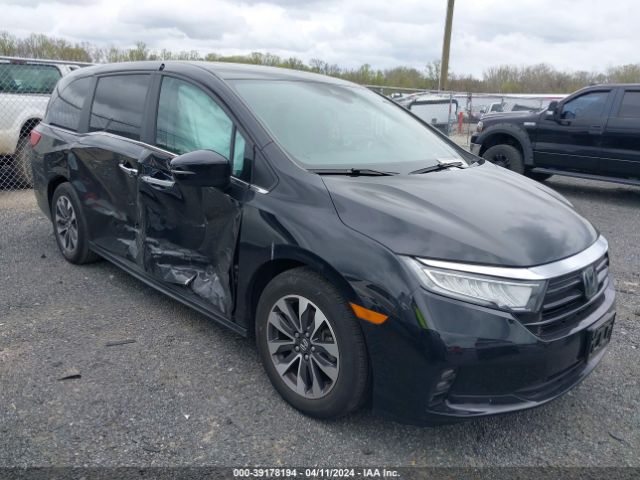 HONDA ODYSSEY 2022 5fnrl6h71nb032614