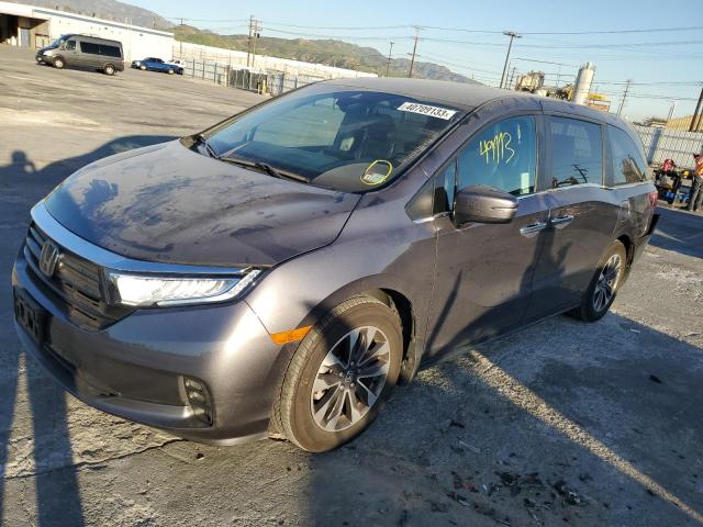 HONDA ODYSSEY EX 2022 5fnrl6h71nb044908